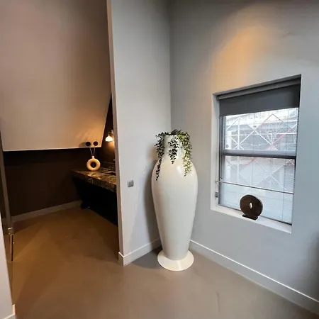 Stylish Near Spots And A Shared Kitchen